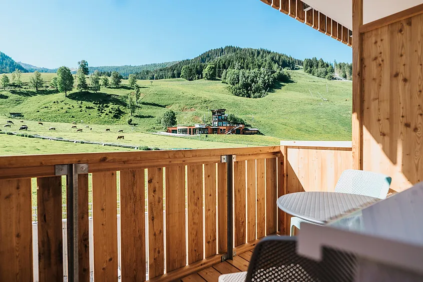 kaiserburgzimmer_bad_kleinkirchheim_sommer_2021_4