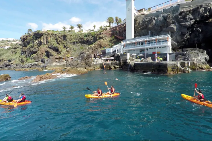 Sentido-Galo-Sol_DER0906728