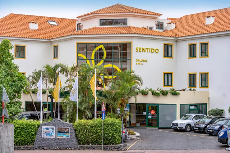 Sentido-Galo-Sol_DER1404738