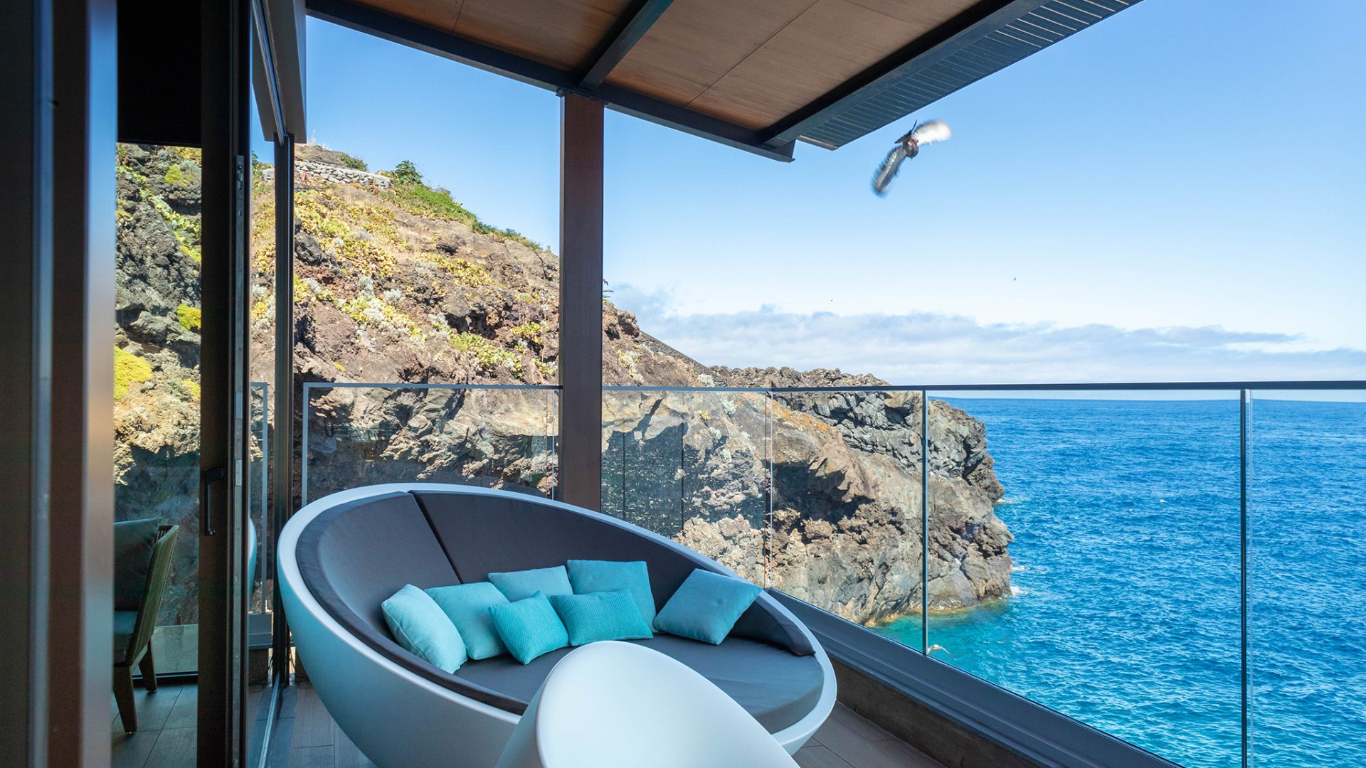 CAPOEIRA_IMG_4395L_lowres