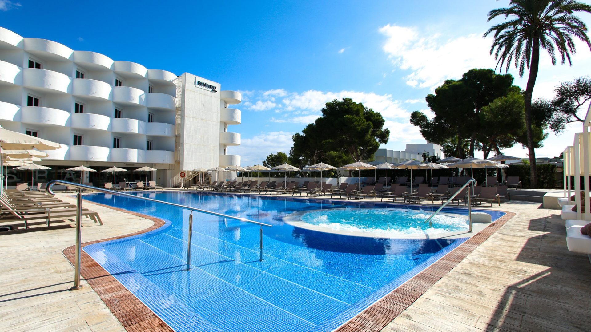 Sentido Fido Tucan_IMG_0624