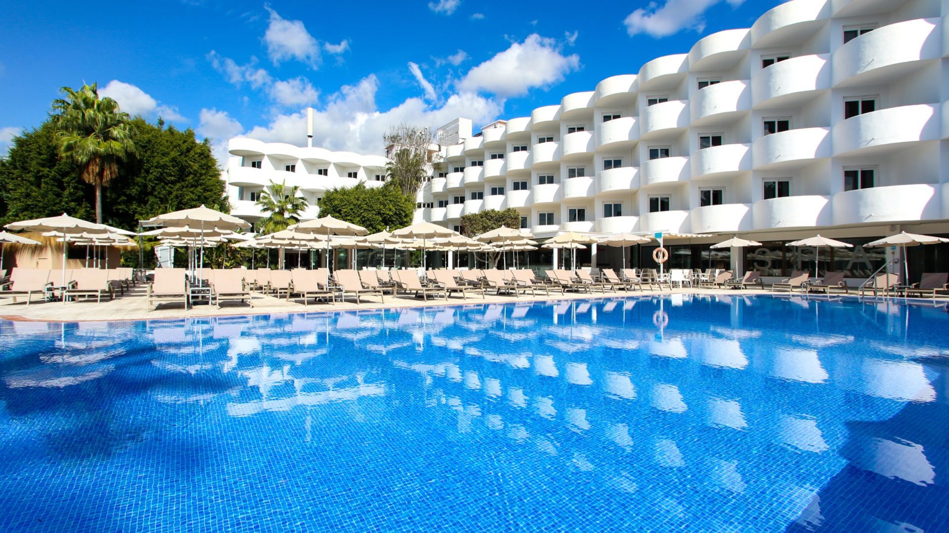 Sentido Fido Tucan_IMG_0626