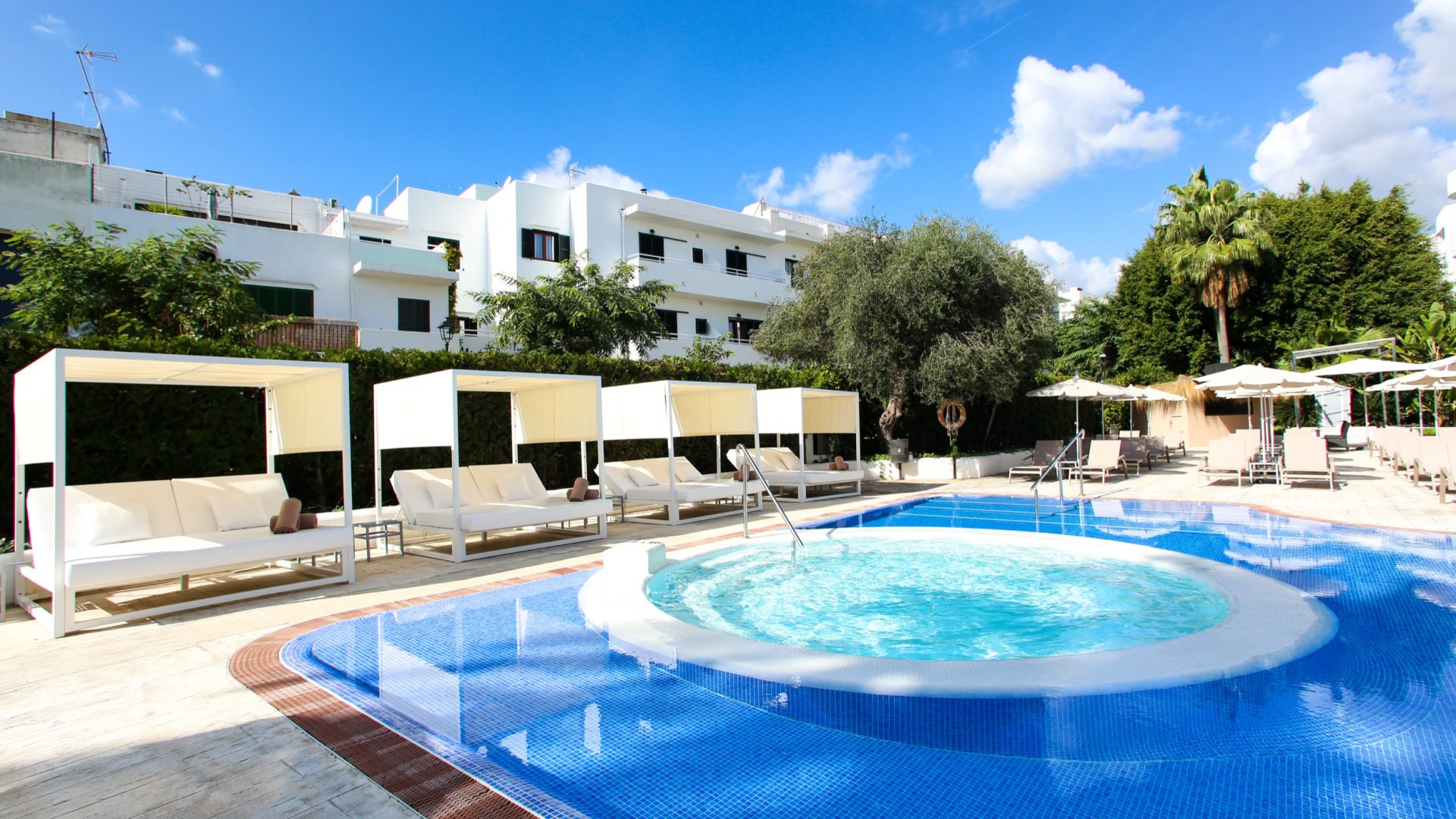 Sentido Fido Tucan_IMG_0630