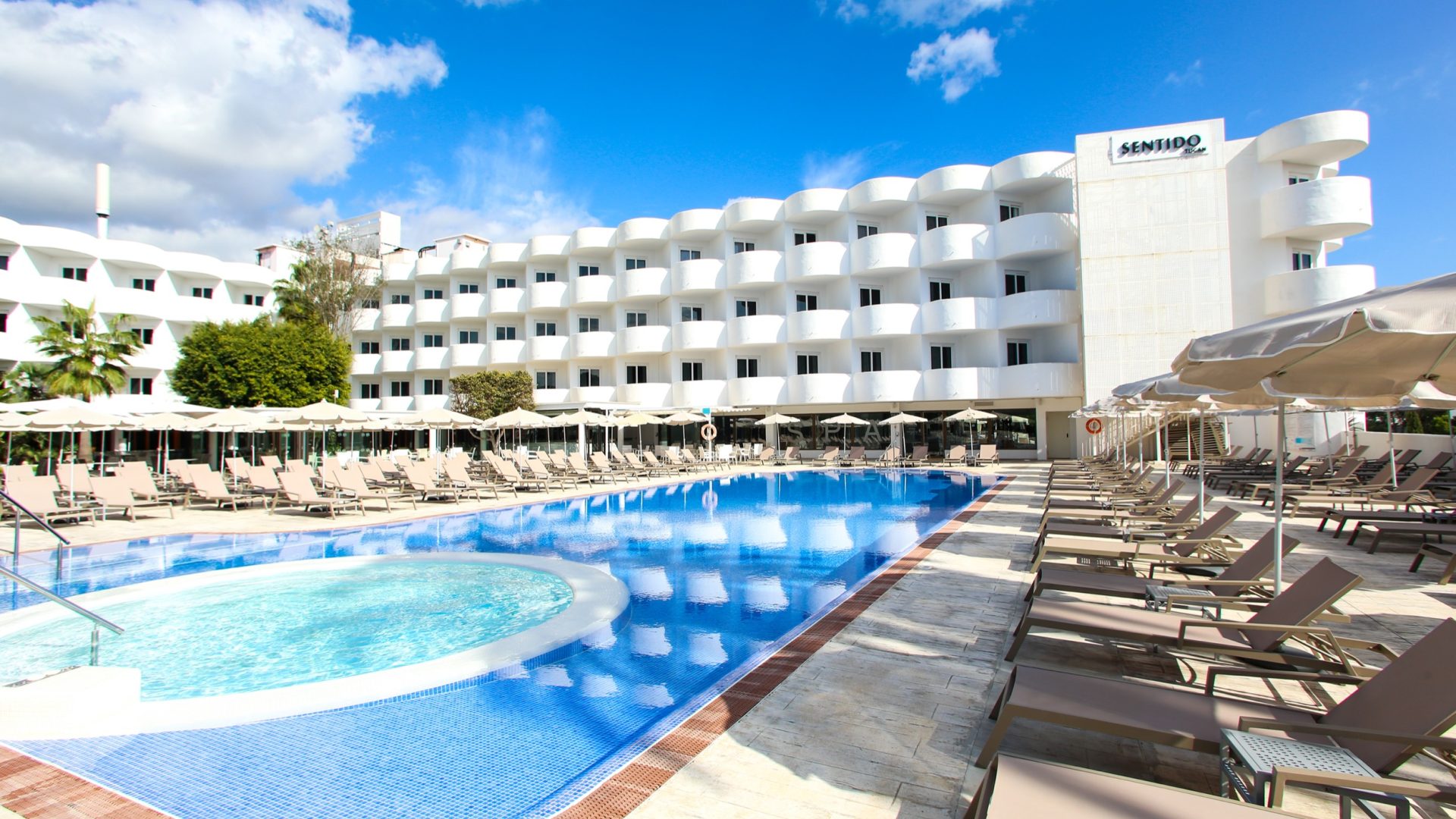 Sentido Fido Tucan_IMG_0641