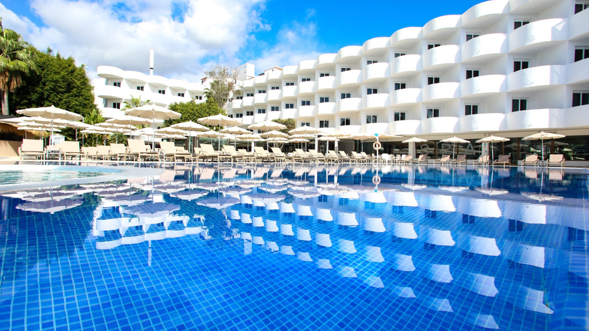 Sentido Fido Tucan_IMG_0649