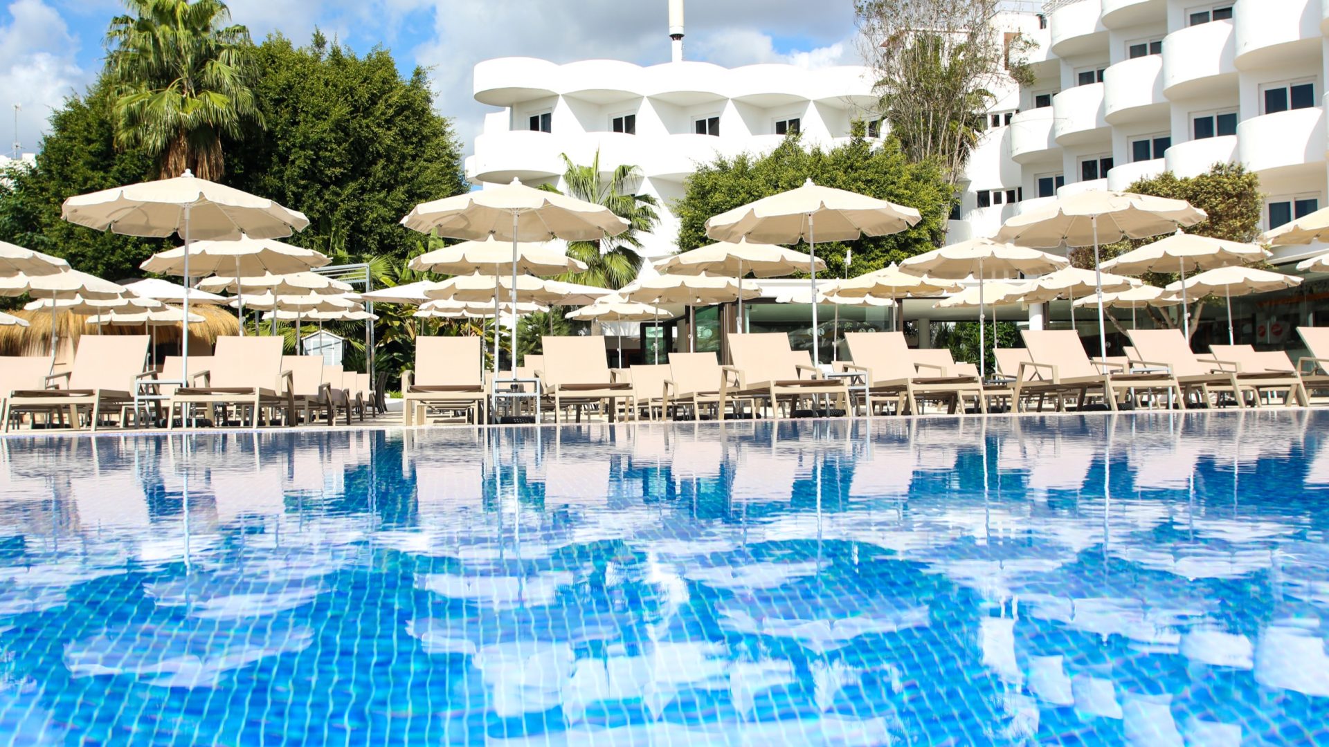 Sentido Fido Tucan_IMG_0656