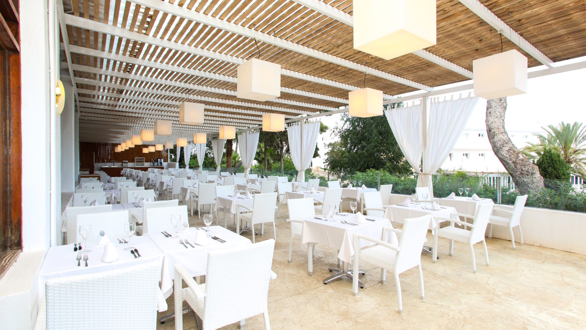 Sentido Fido Tucan_IMG_0706