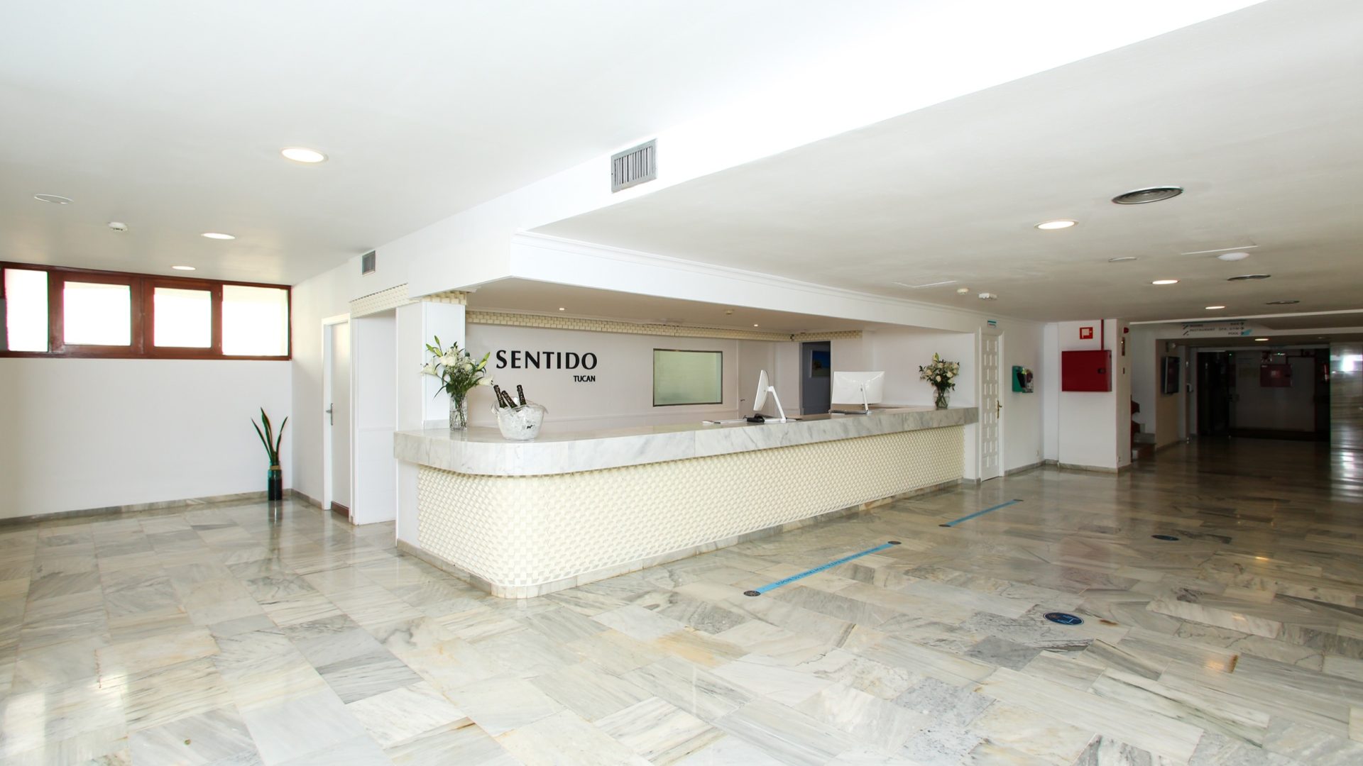 Sentido Fido Tucan_IMG_0755