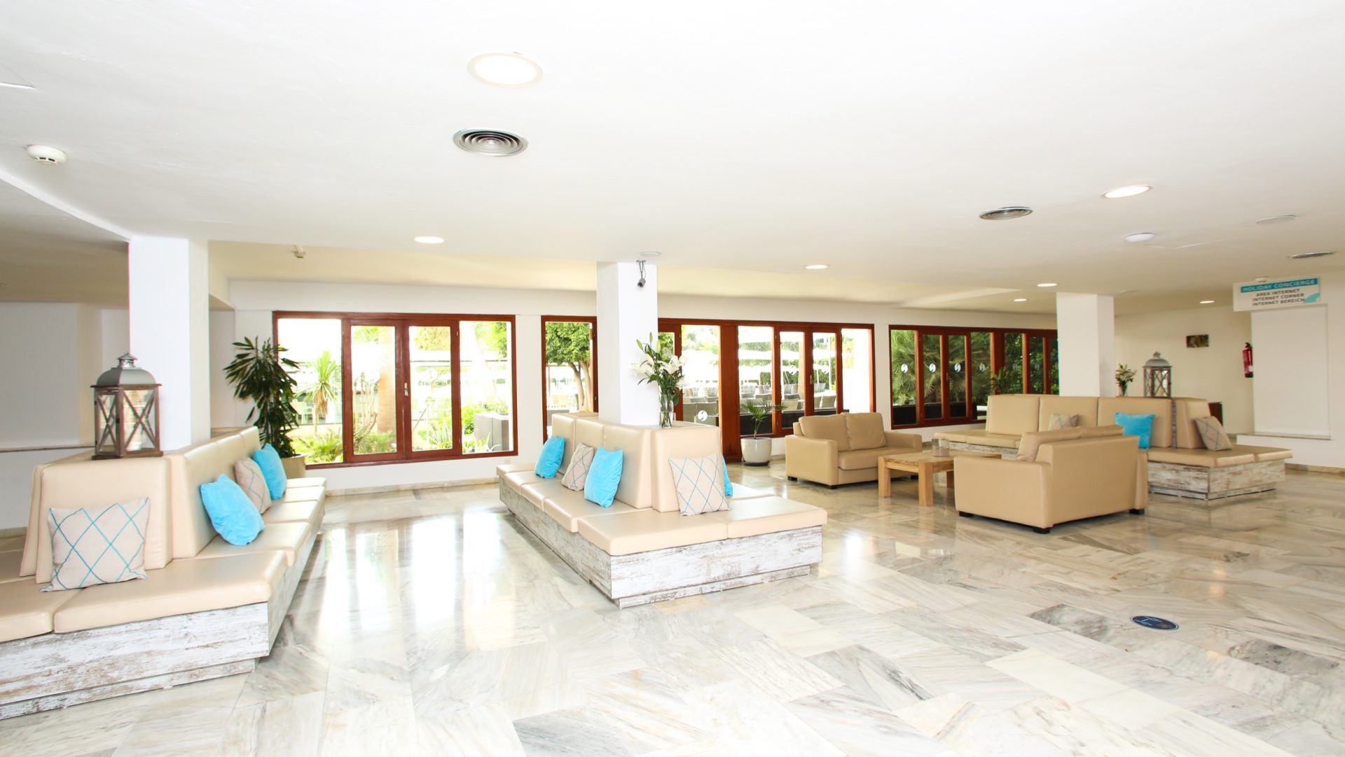 Sentido Fido Tucan_IMG_0762