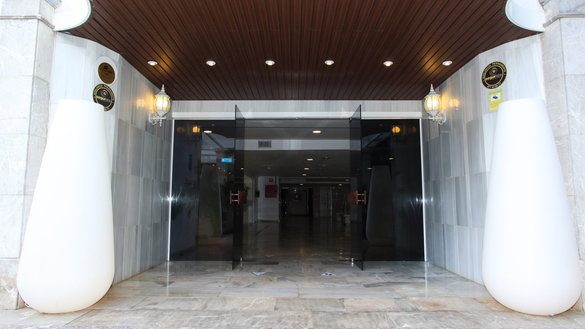 Sentido Fido Tucan_IMG_0765