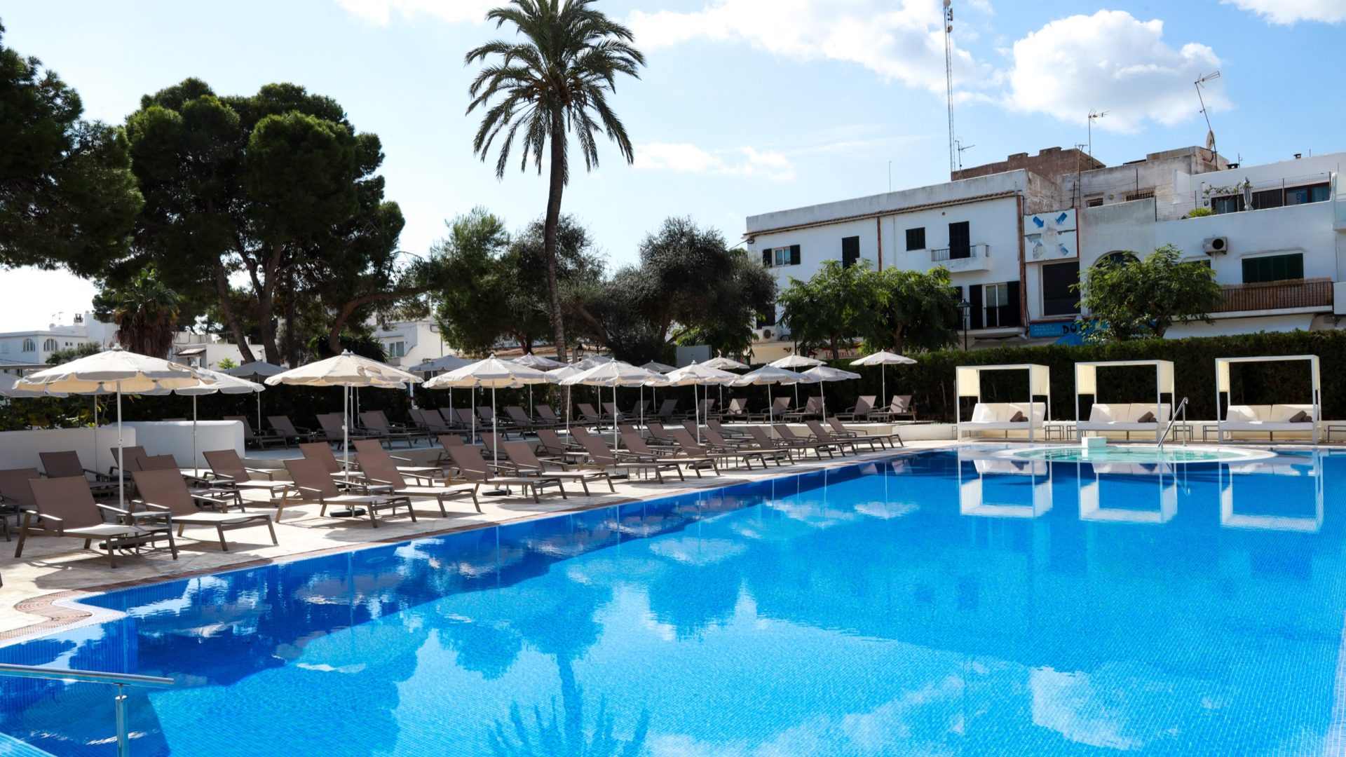 Sentido Fido Tucan_IMG_5866