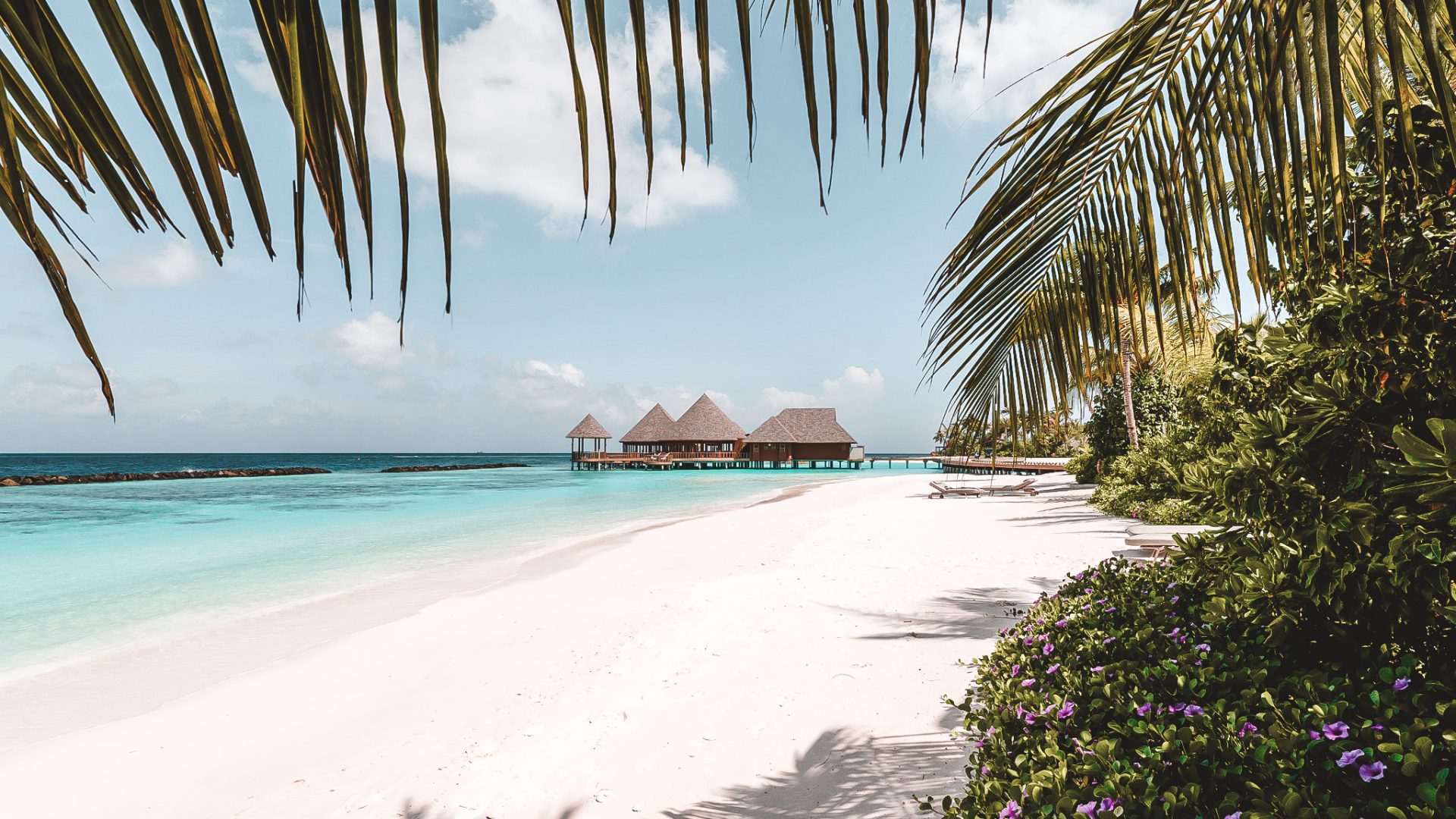 ananea Madivaru -242