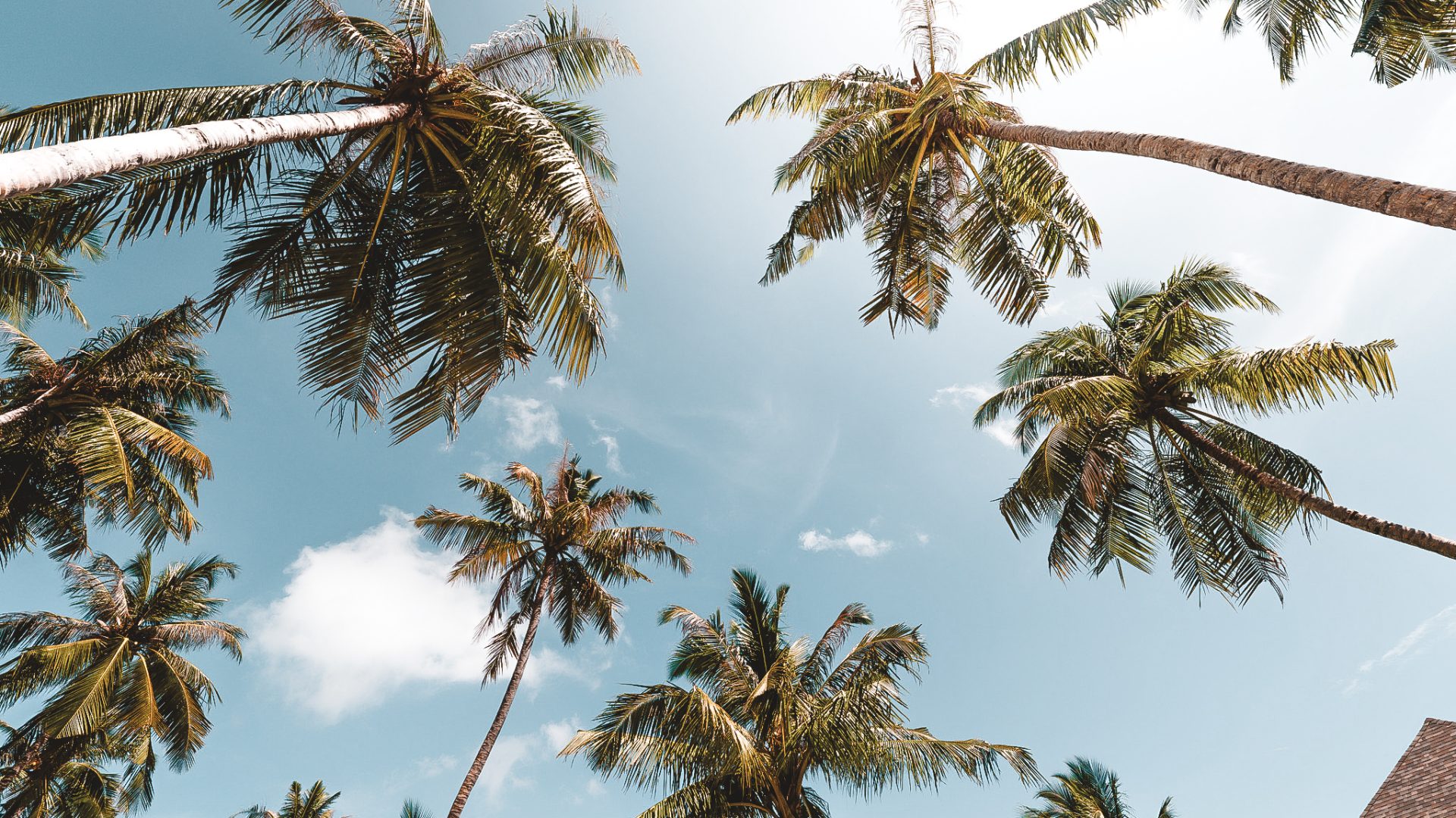 ananea Madivaru -249